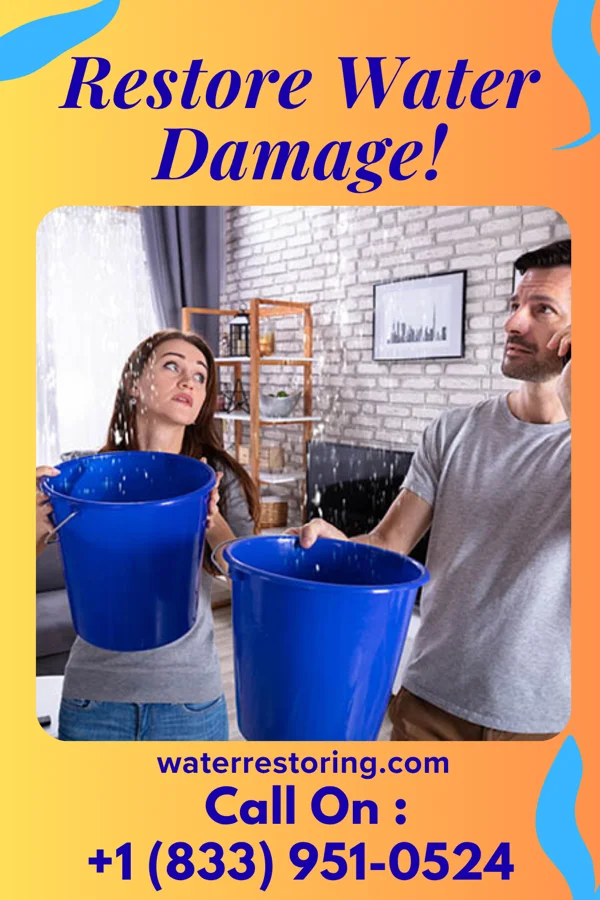 water restoration Precision Cleanup Force Sankertown