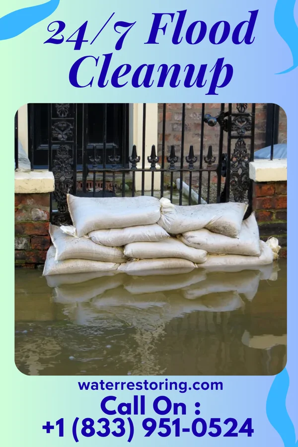 24/7 Flood Cleanup in Sankertown, PA