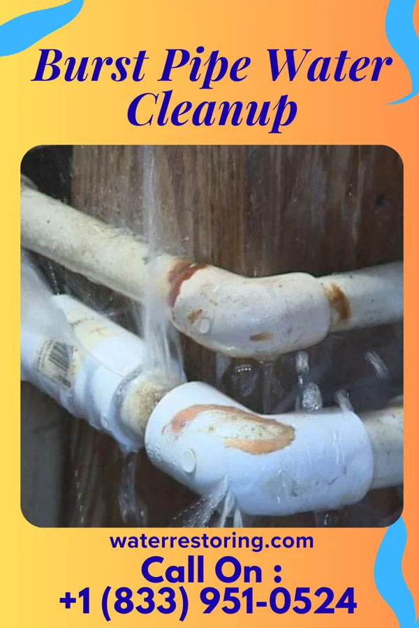 Burst Pipe Water Cleanup in Sankertown, PA