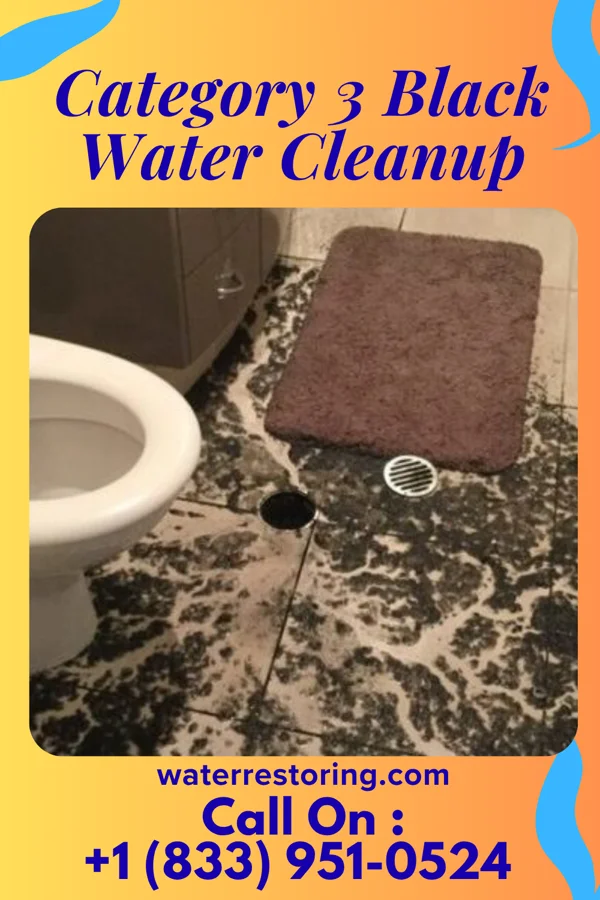 Category 3 Black Water Cleanup in Sankertown, PA