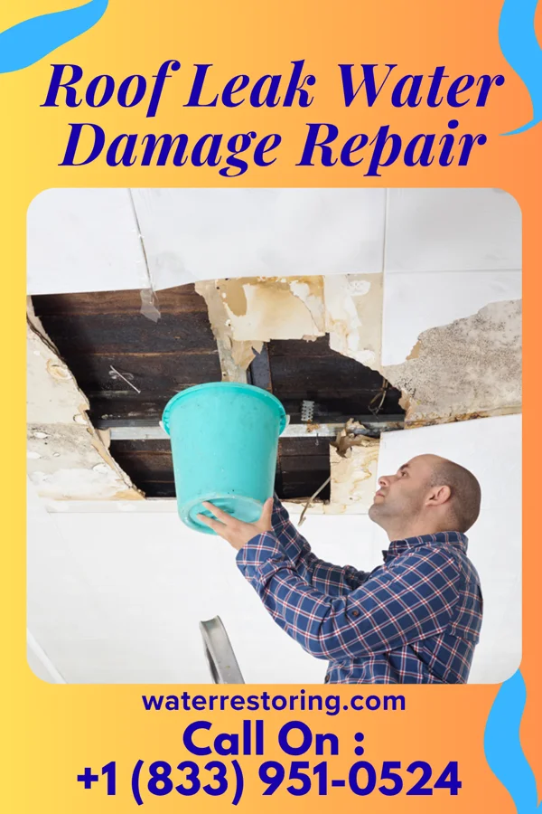 Roof Leak Water Damage Repair in Sankertown, PA