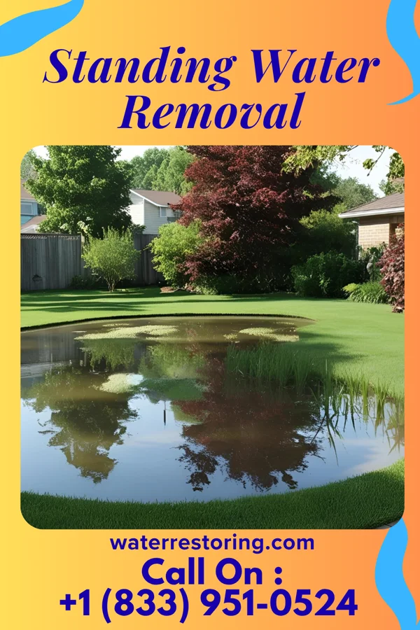 Standing Water Removal in Sankertown, PA